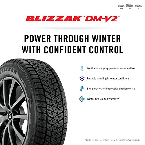 Amazon.com: Bridgestone: Blizzak DM-V2